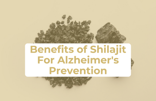 Benefits of Shilajit For Alzheimer's Prevention