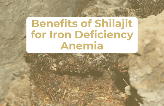 Benefits of Shilajit for Iron Deficiency Anemia