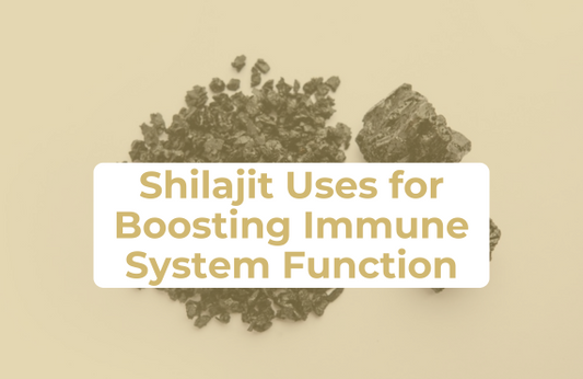 Shilajit Uses for Boosting Immune System Function