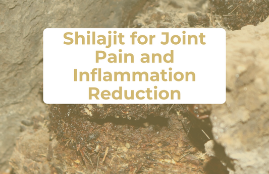 Shilajit for Joint Pain and Inflammation Reduction